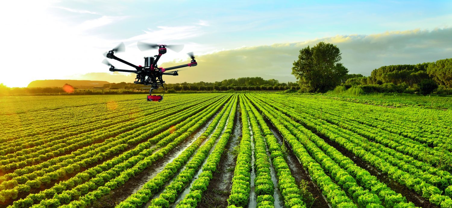 presentar Más reputación Agricultura de precisión: drones e índices de vegetación - Innovatione
