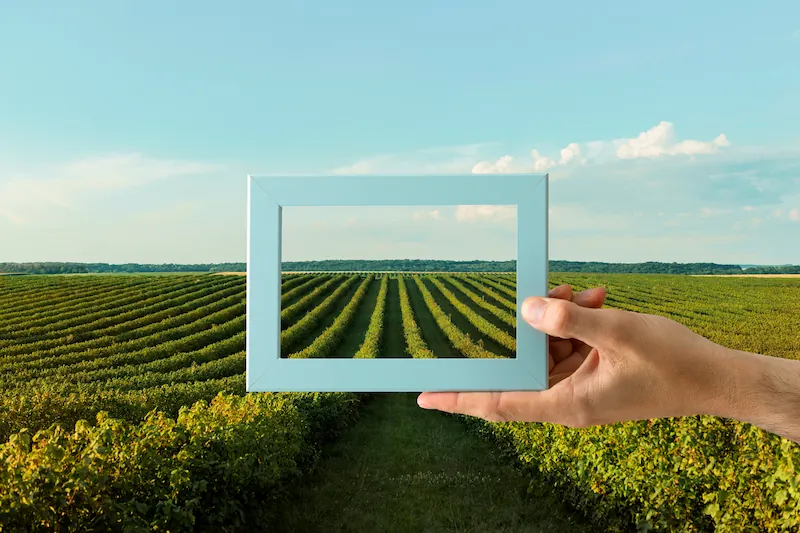 agricultura-sostenible-a-través-del-glifosato