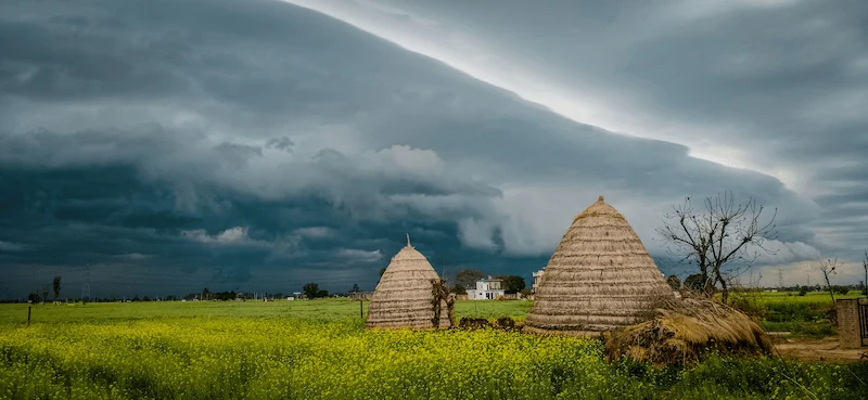 La Revolución Neolítica: el nacimiento de la agricultura