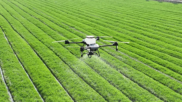 Dron con sistema de riego automatizado desarrollando agricultura de precisión
