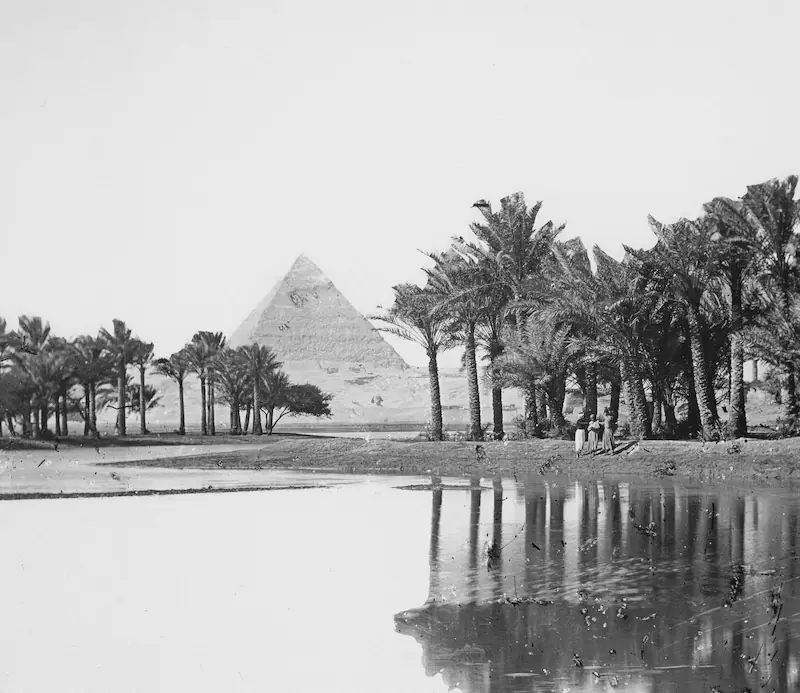 Pirámide de Egipto con palmeras y agua, símbolo de la agricultura en torno al Nilo