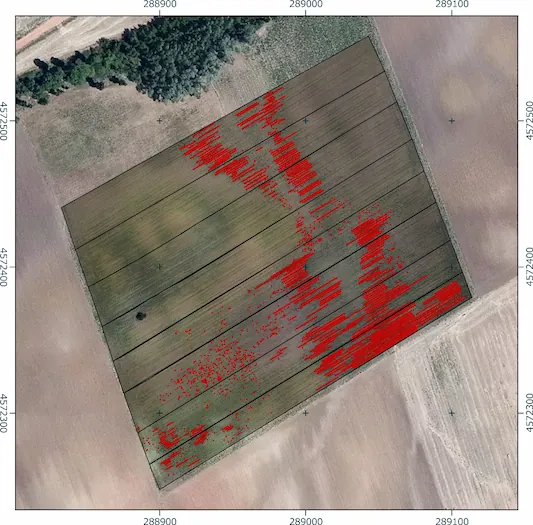Mapa georreferenciado de una parcela de garbanzo con zonas marcadas en rojo que indican variabilidad del cultivo para apoyar decisiones agronómicas.