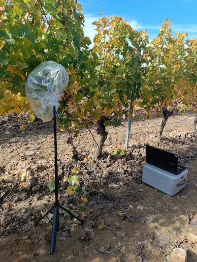 Equipo IoT instalado en un viñedo para monitoreo agronómico en tiempo real y toma de decisiones basada en datos.