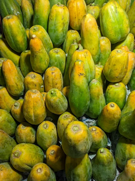 Papayas apiladas con diferentes grados de madurez, representando la cosecha y la calidad comercial de la papaya producida en España.