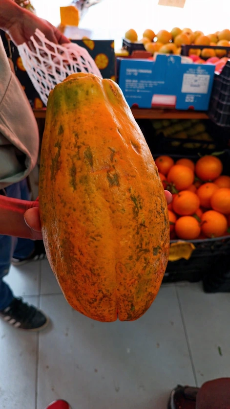 Papaya madura de gran tamaño en un mercado, representando la comercialización y el valor añadido de la papaya producida en España para consumidores europeos.