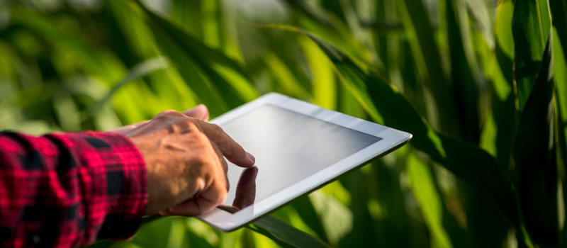 innovatione-agrario-tecnologico innovatione-agrario-tecnologico