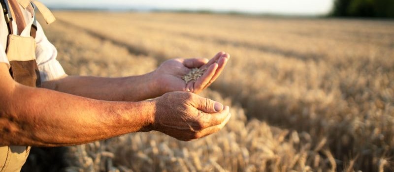 innovatione-agrario2 innovatione-agrario2